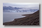 Harefjord-roedepynt2exp
