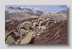eleonorebay-schichten2exp