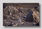 ymeroe-blomstbugthase4exp