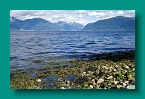 sognefjordexp
