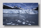 princewilliam-meary01exp