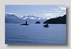 princewilliamsound03exp