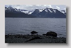 seward05exp