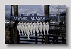 seward09exp