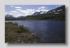 valdez03exp