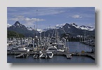 valdez10exp