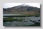 Amassa-valflowers03exp