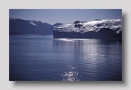 20017harefjord