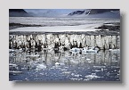 2006-Hornsund22exp