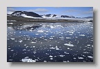 2006-Hornsund4exp