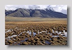 2006-adventfjord-adventdal2exp