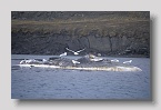 2006-bellsund-toterwalexp