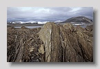 2006-duvefjord-relik-bukta1exp