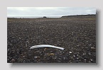 2006-edgeoya-tusenoyane-aekongen-knochenexp