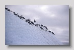 2006-isispynten-austfonna6exp