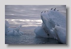 2006-isispynten-austfonna8exp