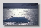 2006-monacobre-woodfjord2exp