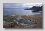 2006-woodfjord-bokfjord1exp