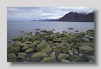 2006-woodfjord-bokfjord3exp